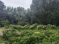 -长春公园(普阳街道)