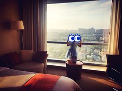 -上海浦东康桥绿地假日酒店
