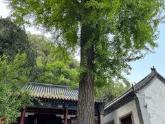 -锦屏山旅游度假区