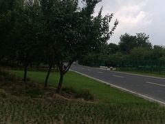 -同里国家湿地公园