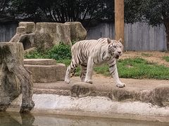 -常州淹城野生动物世界