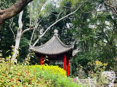 -深圳国际园林花卉博览园