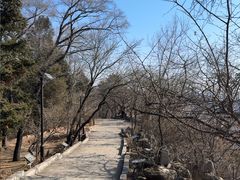 -高尔山公园