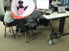 -星卡照相馆(奉贤百联店)