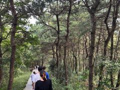 -冶父山国家森林公园