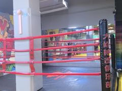 -大焱搏击·泰拳·拳击俱乐部(大柏树店)