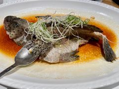 -侨美·唐荔园·40年地道粤菜