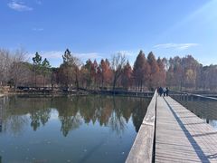 -昆山城市生态森林公园