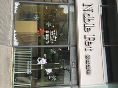 iphone_upload_pic-诺比宠物医院心脏内科·泌尿肾内外科·骨科急重症