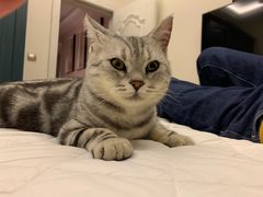 -宠颐生动物医院·心脏科·保险定点(锦阳分院)