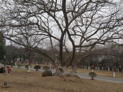 -南京市江宁方山