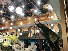 -雀蓝川菜(奥体广场店)