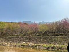 -福清灵石山国家森林公园