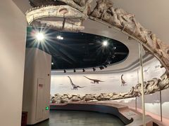 -自贡恐龙博物馆