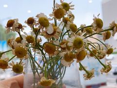 -泉乐坊步行街(烟酒特产平价超市店)