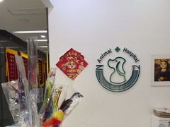-中农国际动物医院24小时·猫科·骨科·急重症中心