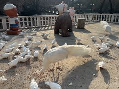 -J Create城市露营咖啡·简餐·宠物(上海动物园店)