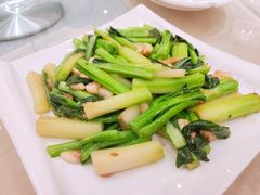 生炒高脚菜心-宝园酒家(美林M·LIVE天地东座店)