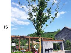 -蓟县沐风庄园精品民宿农家院(梨木台店)