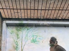-昆明动物园