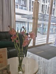 -谦和国际皮肤管理