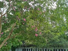 -苏州碑刻博物馆