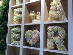 -苏小糖(鼓浪屿三丘田花园店)