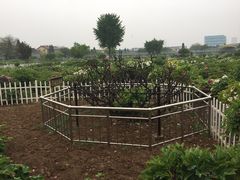 -曹州百花园