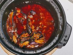 -新雅粤菜馆(南京东路店)