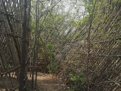 -长白岛森林公园