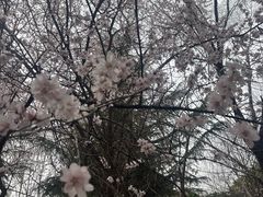 -城市运动公园(未央区)