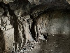 -上海佘山国家森林公园天马山园