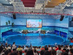 -多彩贵州城极地海洋世界