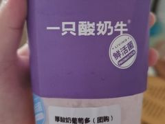 -一只酸奶牛(来福士店)