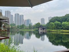 -和平公园