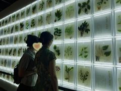 -广东中医药博物馆