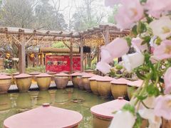 -土灶人家柴火鸡(都江堰店)