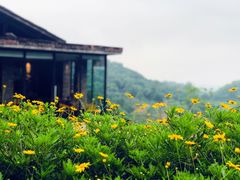 -远山有窑