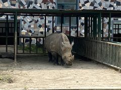 -哈尔滨北方森林动物园