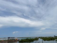 -北海金海湾红树林生态旅游区