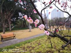 -新虹桥中心花园