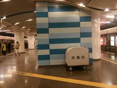 -大望路(地铁站)