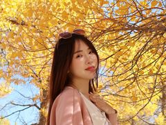 -金塔沙漠胡杨林景区