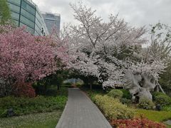 -北外滩滨江绿地