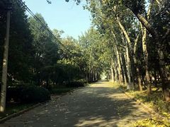 -北京大学(昌平校区)