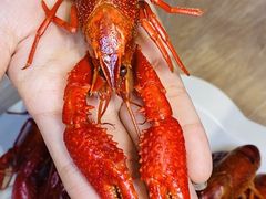 -霸王虾·小龙虾香辣蟹(玉林店)