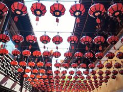 -亭林园-华藏寺