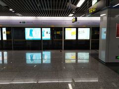 -大王基(地铁站)