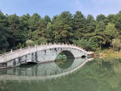 -铁山坪森林公园