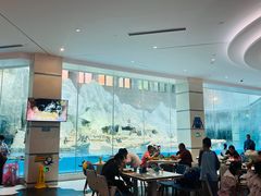 -帝企鹅自助餐厅•儿童岛•真企鹅(长隆企鹅酒店)